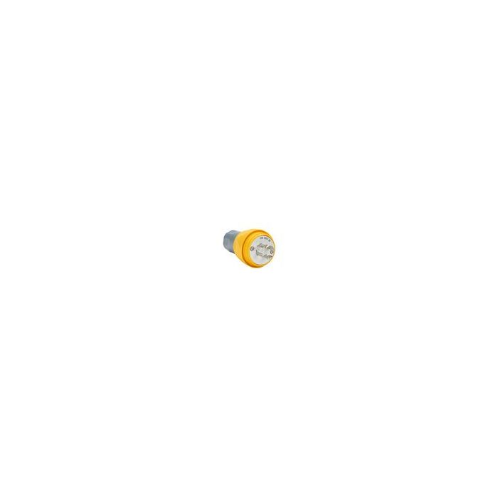 thumbnail_bry26w75.jpg