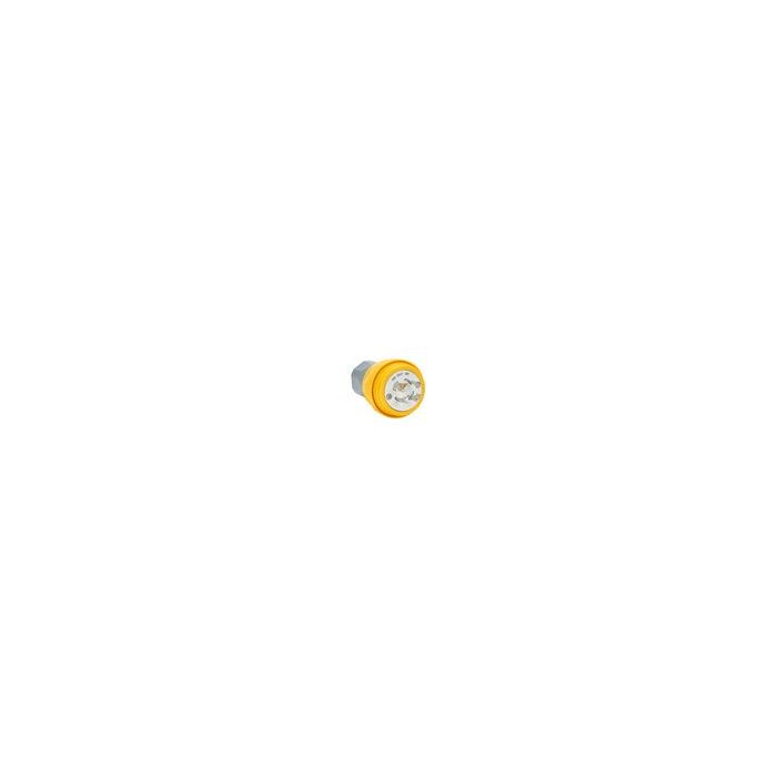 thumbnail_bry28w75.jpg