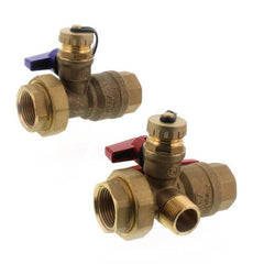 AO Smith 100112255 Lead Free Isolation & Pressure Relief Valves, 1 FNPT x FNPT (T-M50)