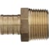 Zurn QQMC44GX XL Brass Male Adapter - 3/4 Barb x 3/4 MPT