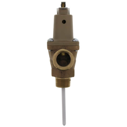 Watts 153614 3/4" 150 LB T & P VALVE