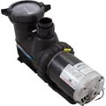 Jacuzzi 94022320 Magnum Force Pump, 3 Ph, 208-230/460, 2Hp,50Hz/60Hz