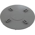 Waterway Plastics 519-2687 Diverter Plate, Dyna-Flo T/M Skim Filter