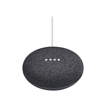 Google WNGOGA216US Home Mini Black