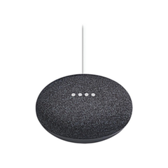 Google WNGOGA216US Home Mini Black