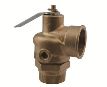 Apollo Valves 12-205-06 2 Inch Steam Relief Valve, 2500PPH