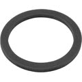 Pentair L20-40 Gasket