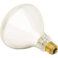 Hayward Po SPX0584Z2 Hay Po Bulb-Replacement, 400W, 120V