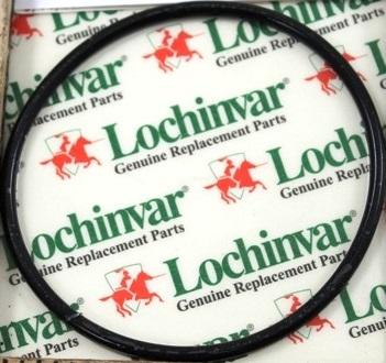 Lochinvar & A.O. Smith 100208761