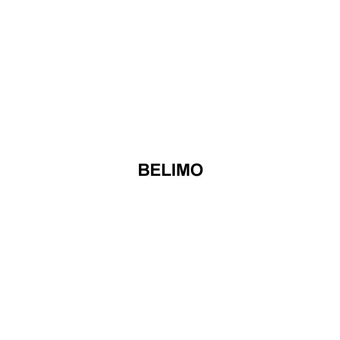 Belimo B209B+TFRB24-3 12"NPT BRS 0.8Cv 24V SR FLTG