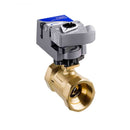 Johnson Controls VG1241AF+910HGC